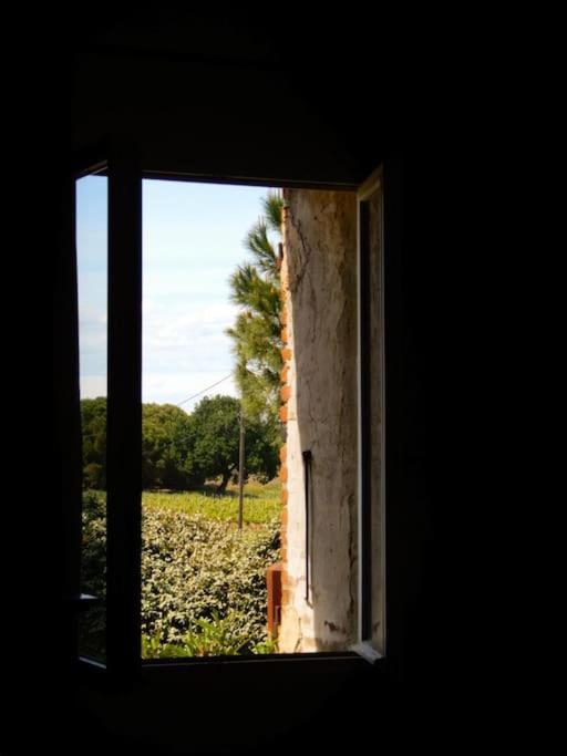 La Maison Des Vendangeurs Кане Экстерьер фото
