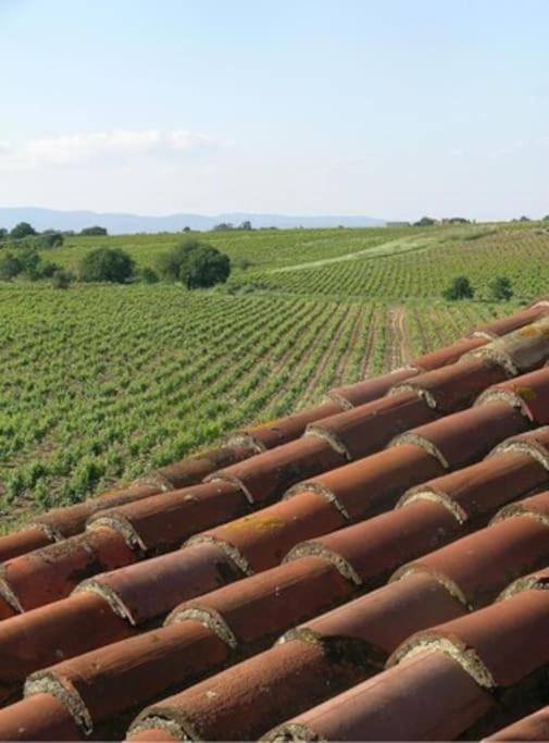 La Maison Des Vendangeurs Кане Экстерьер фото